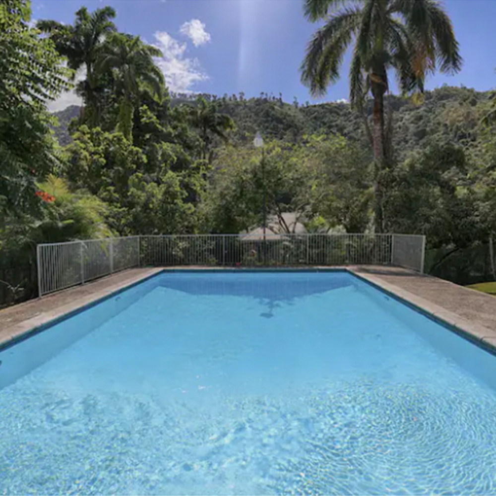 Trinidad Carnival Once-in-a-Lifetime: Ibis (Payment Plan)