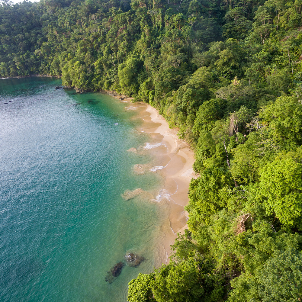 Trinidad Carnival Once-in-a-Lifetime: Sunset (Payment Plan)