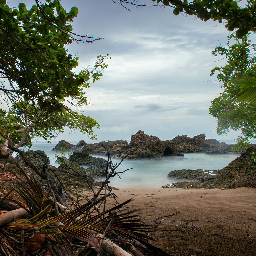 Trinidad Carnival Once-in-a-Lifetime: Ibis (Payment Plan)