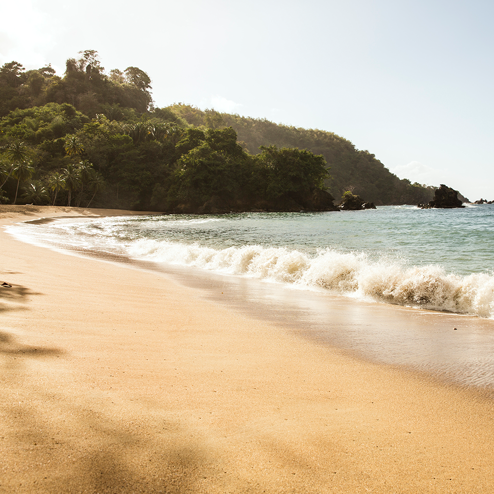 Trinidad Carnival Once-in-a-Lifetime: Sunset (Payment Plan)