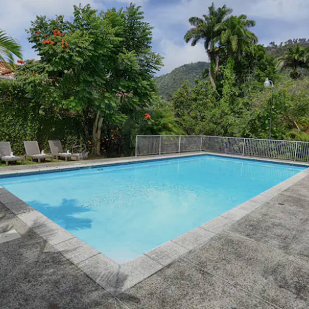 Trinidad Carnival Once-in-a-Lifetime: Ibis (Payment Plan)