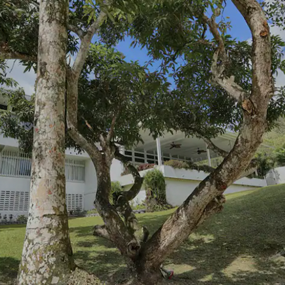 Trinidad Carnival Once-in-a-Lifetime: SINGLE OCCUPANCY UPGRADE