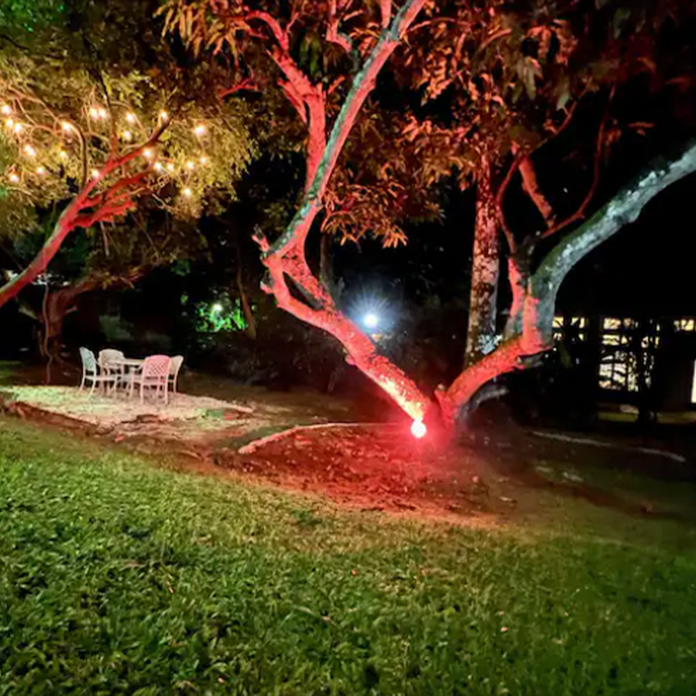 Trinidad Carnival Once-in-a-Lifetime: SINGLE OCCUPANCY UPGRADE